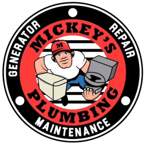 Slide of Mickey's Plumbing