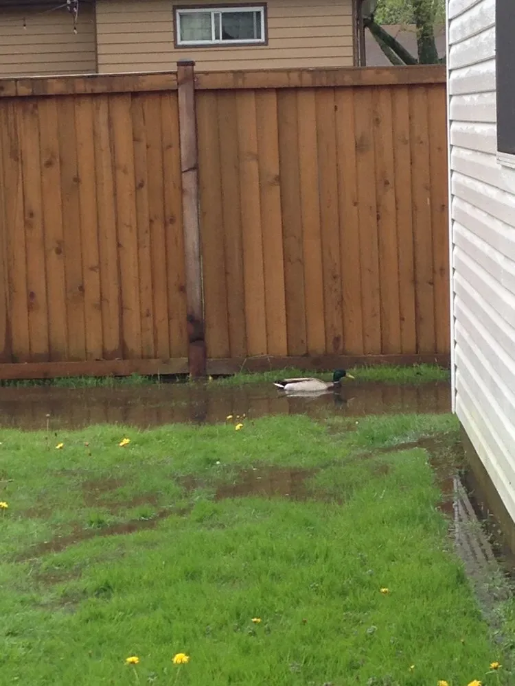 Slide of Midcity Plumbing