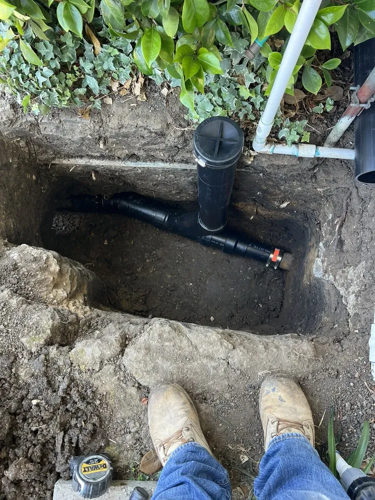 Slide of Midnite Rooter