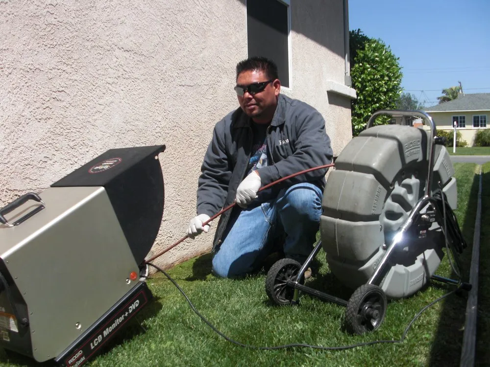 Slide of Midnite Rooter