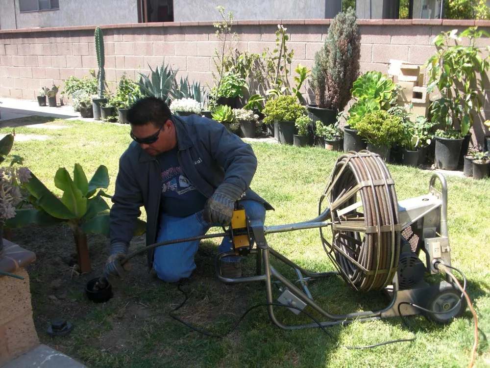 Slide of Midnite Rooter