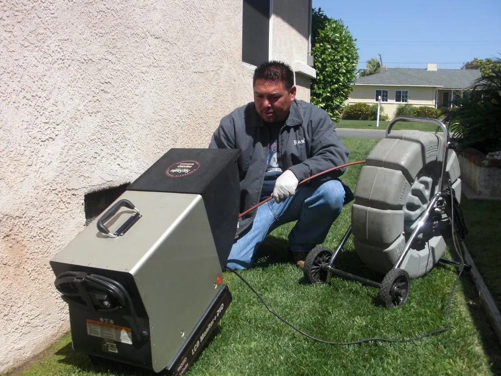 Slide of Midnite Rooter