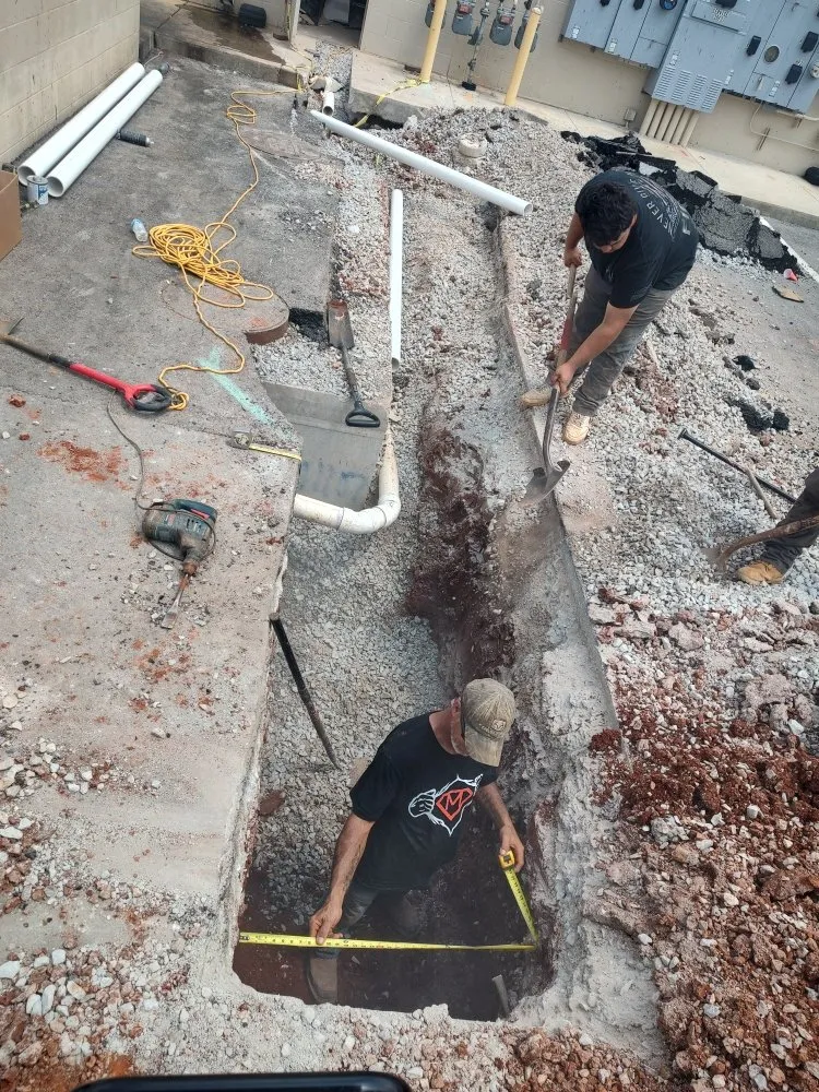 Slide of Mighty Rooter