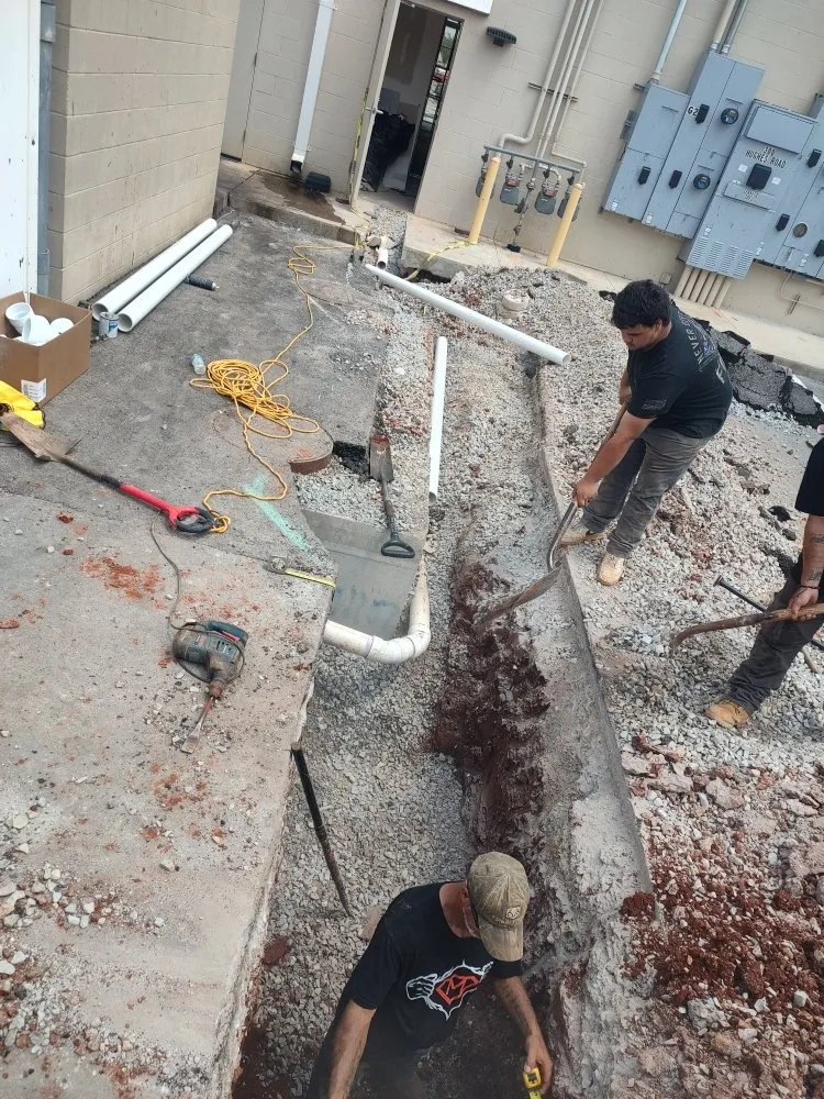 Slide of Mighty Rooter