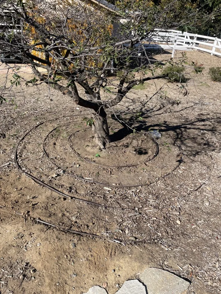 Top-rated emergency plumbing for homes in Encinitas, CA by Miguel's Sprinkler & Drainage Repair