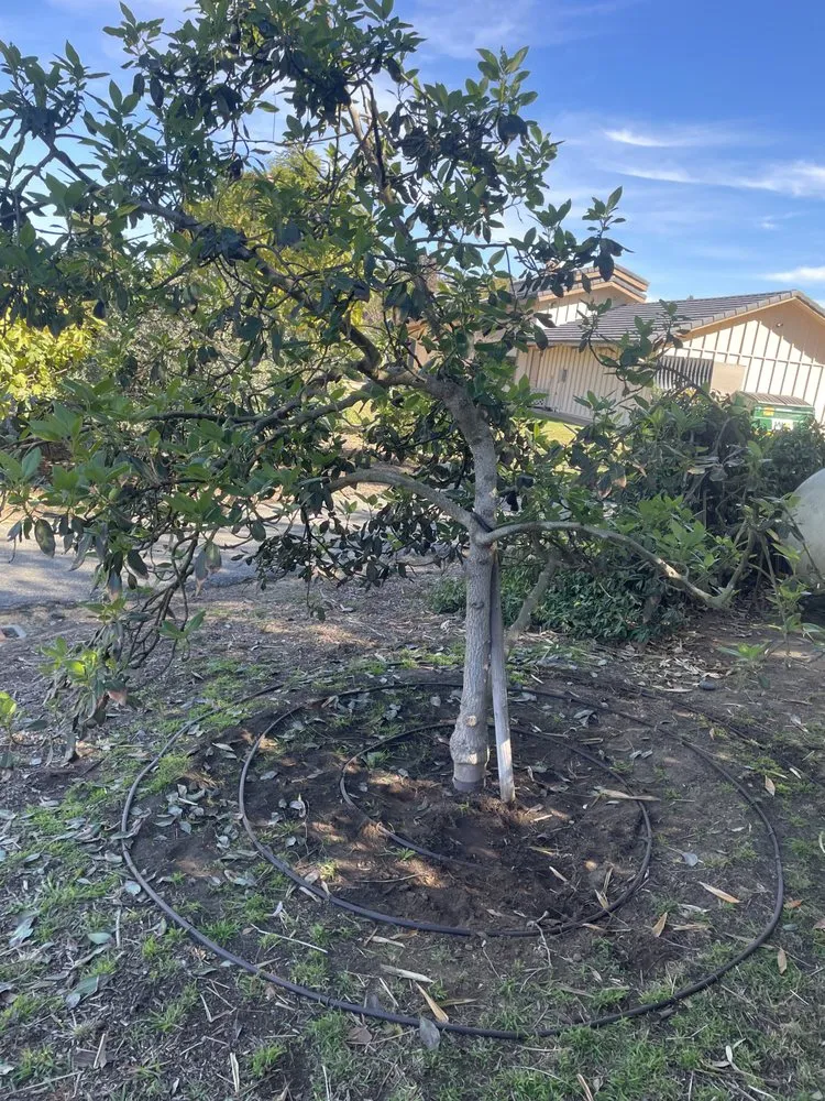 Reliable drain cleaning experts serving Encinitas, CA - Miguel's Sprinkler & Drainage Repair