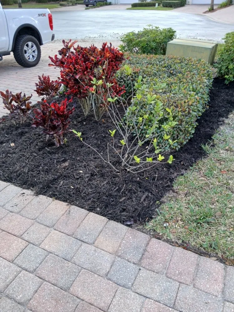 Slide of Mike C Handyman