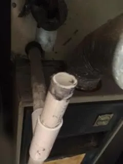 Slide of Mike Diamond