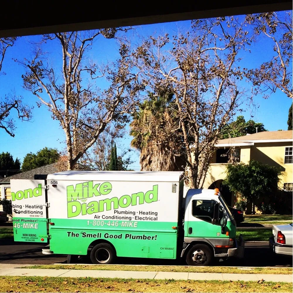 Slide of Mike Diamond Services