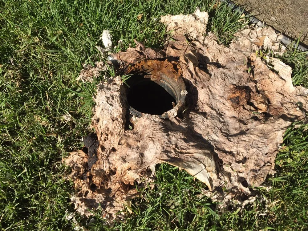 Slide of Mike Diamond Services