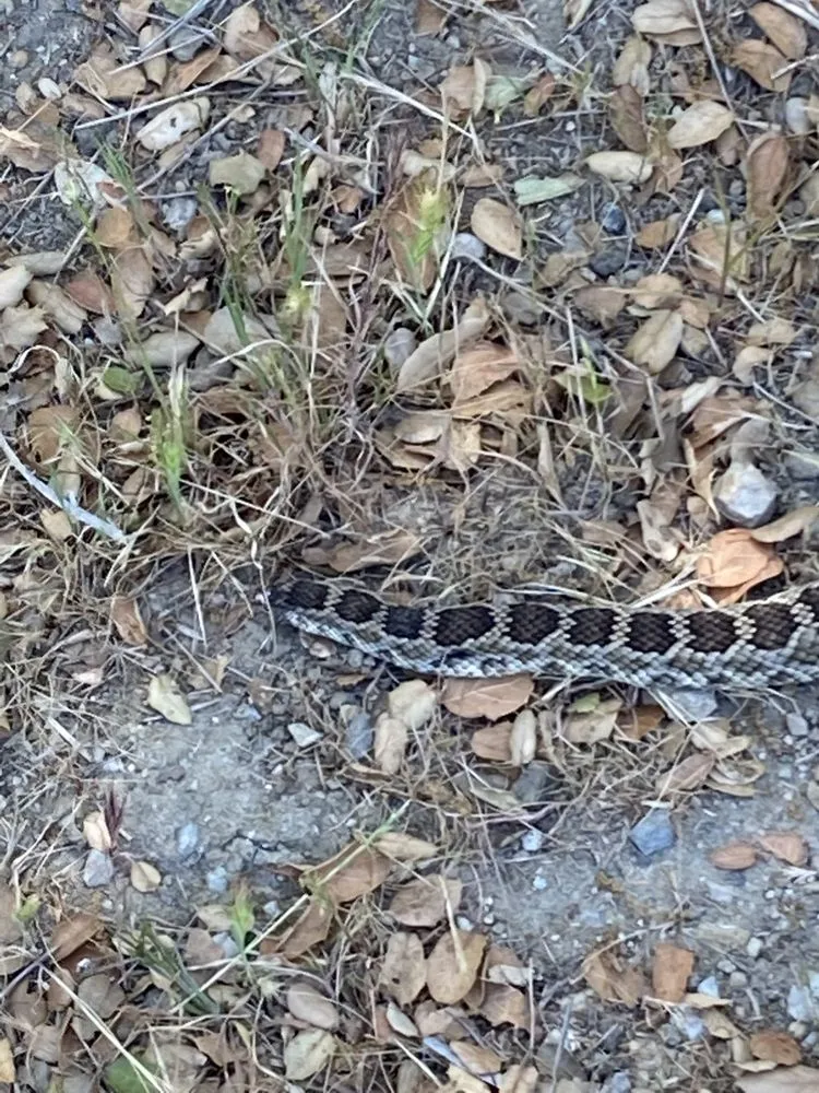 Slide of Mike Diamond Services