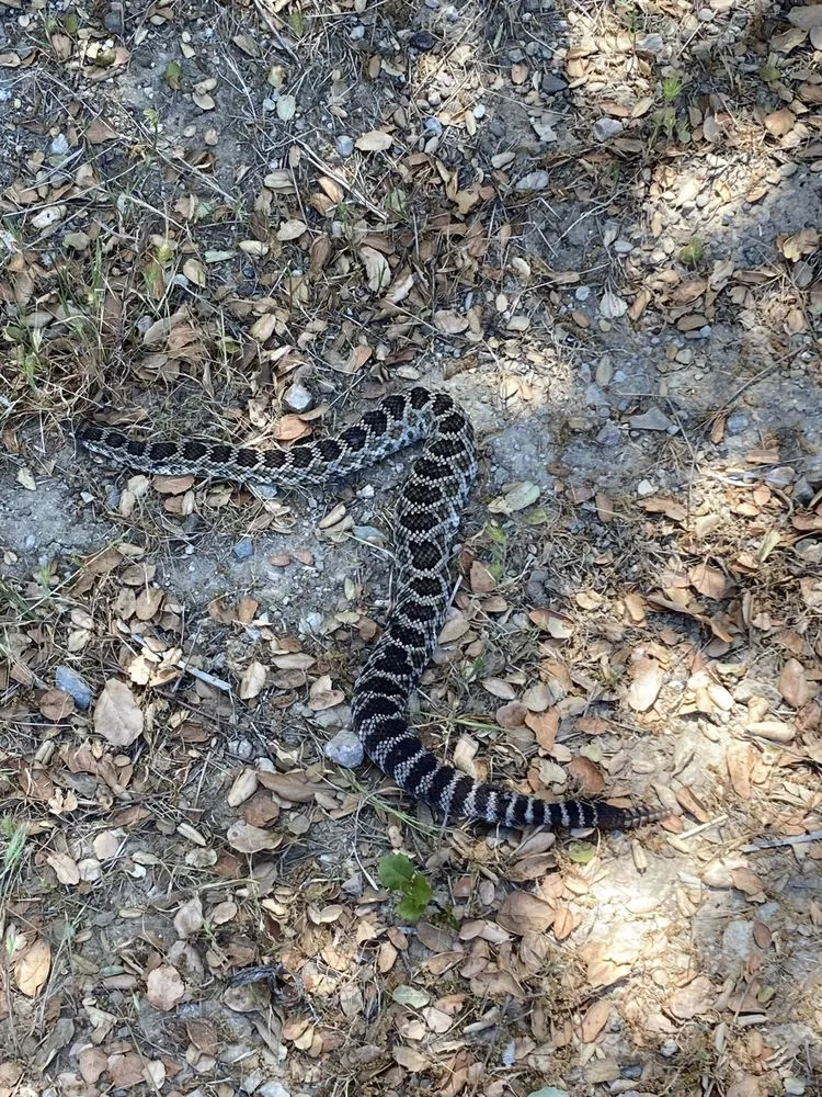 Slide of Mike Diamond Services