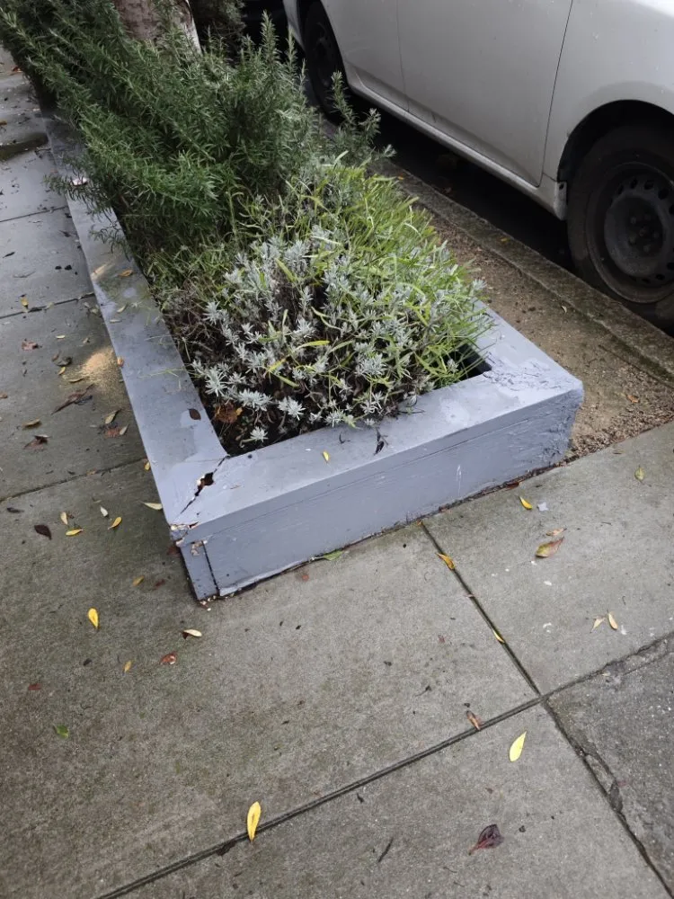 Slide of Mike Handyman