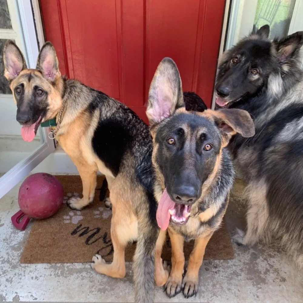 Slide of Mike Jones Plumbing