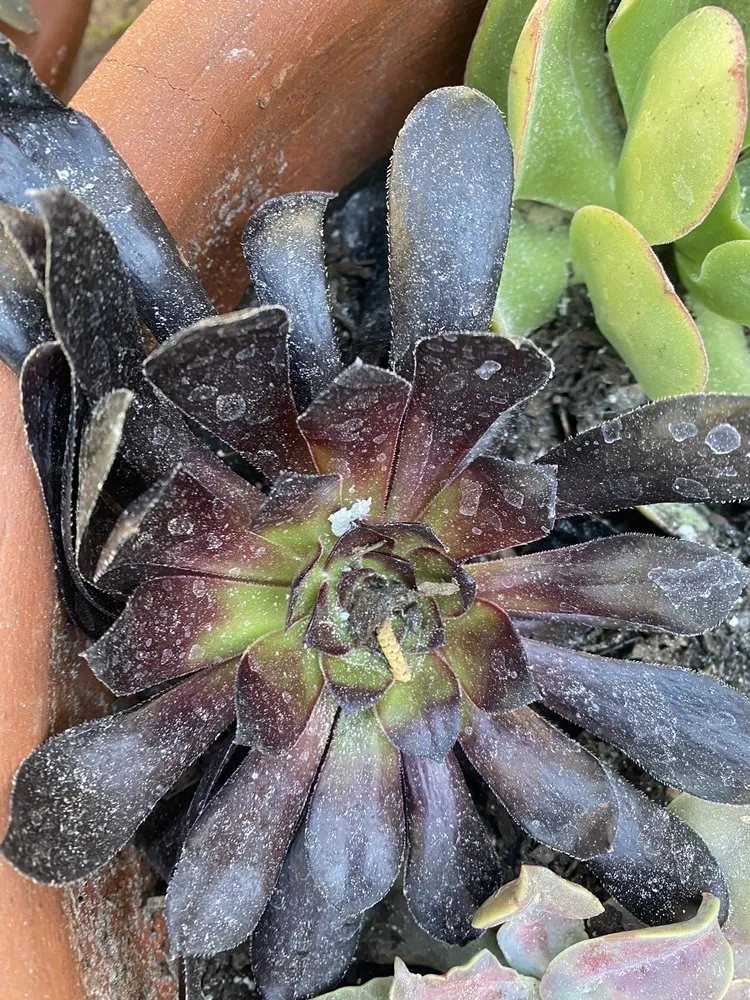 Slide of Mike Kimble Plumbing