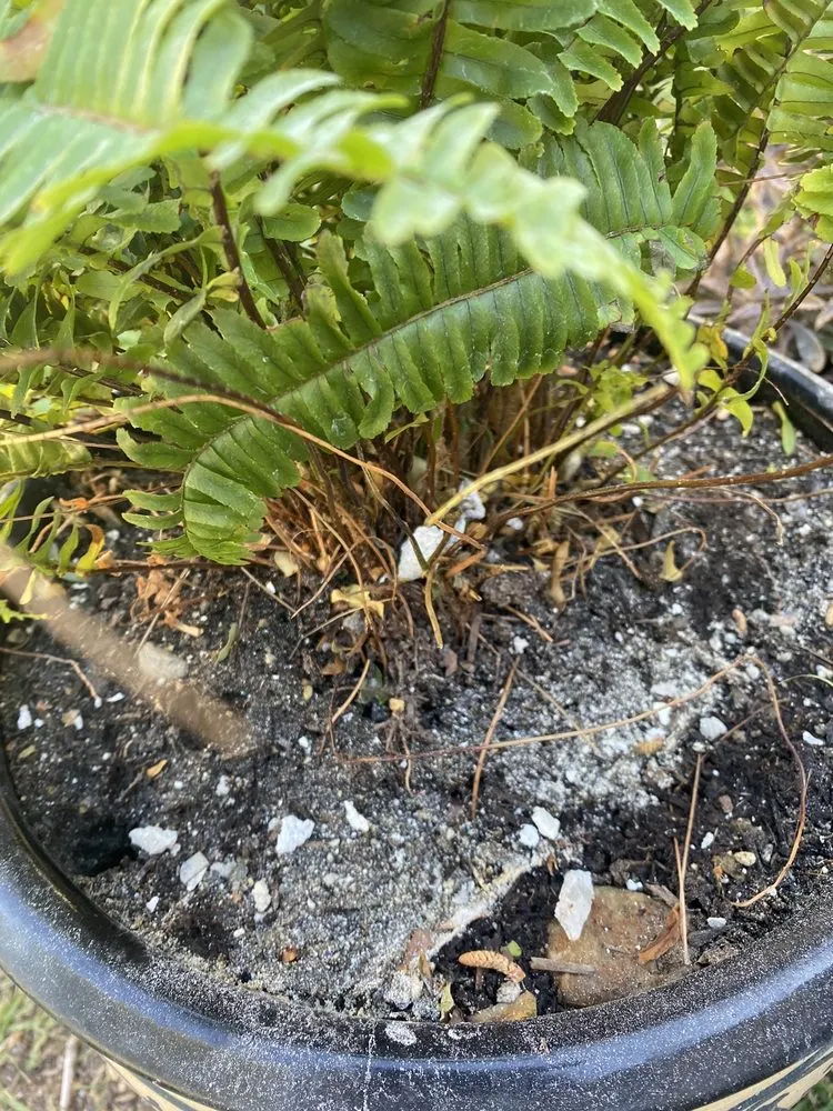 Slide of Mike Kimble Plumbing