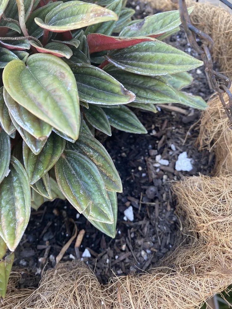 Slide of Mike Kimble Plumbing