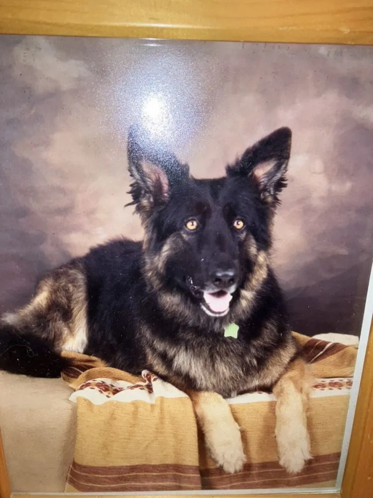 Slide of Mike Lulu Plumbing & Heating