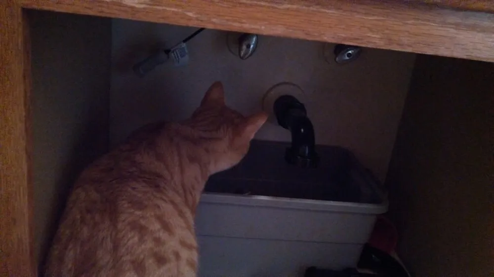 Slide of Mike Perreira Plumbing