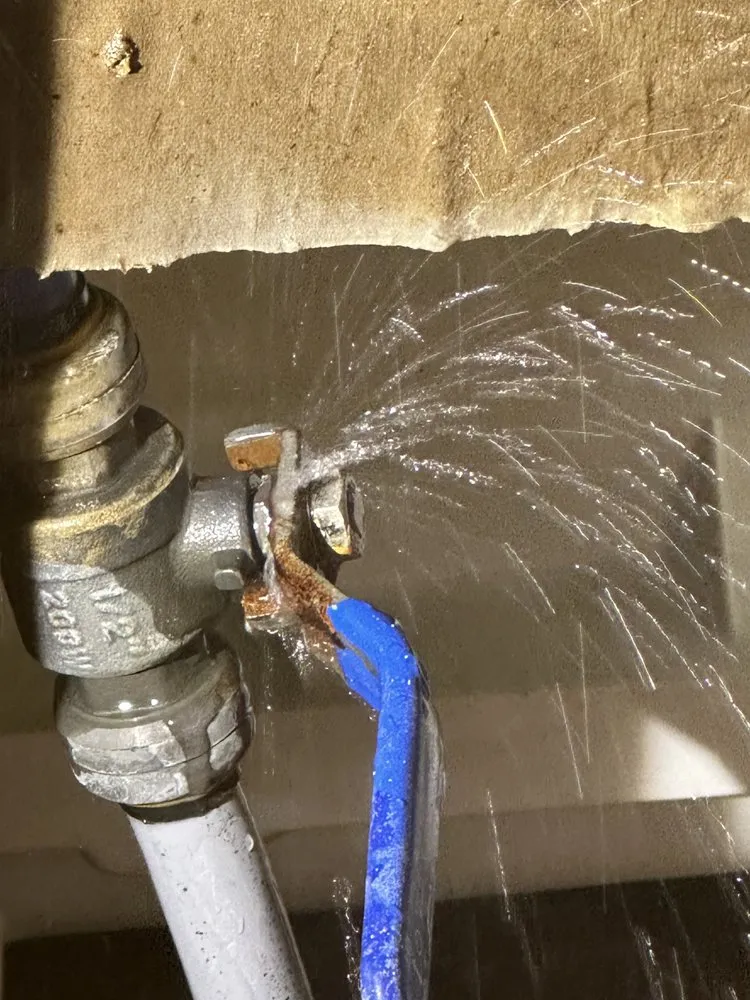 Slide of Mike the Plumber