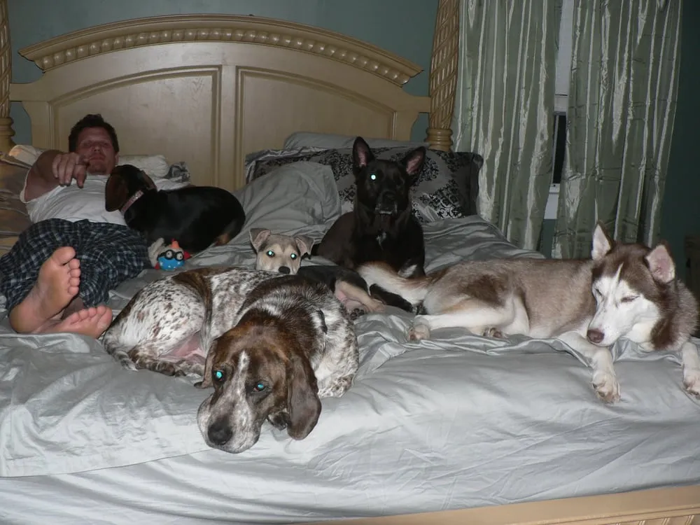 Slide of Mike The Plumber