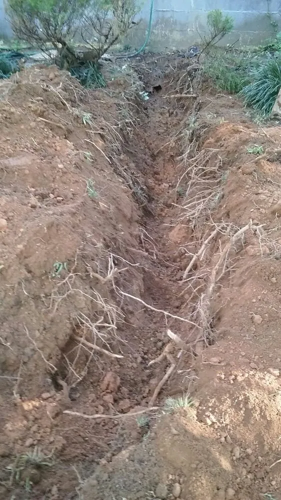 Slide of Mike The Plumber