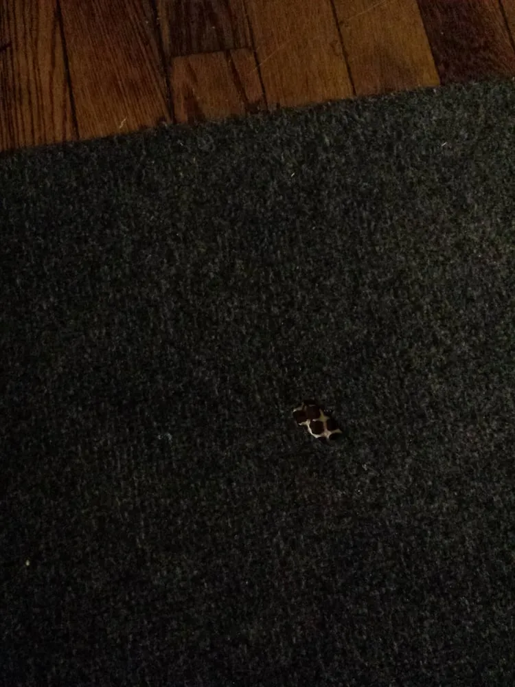 Slide of Mike The Plumber