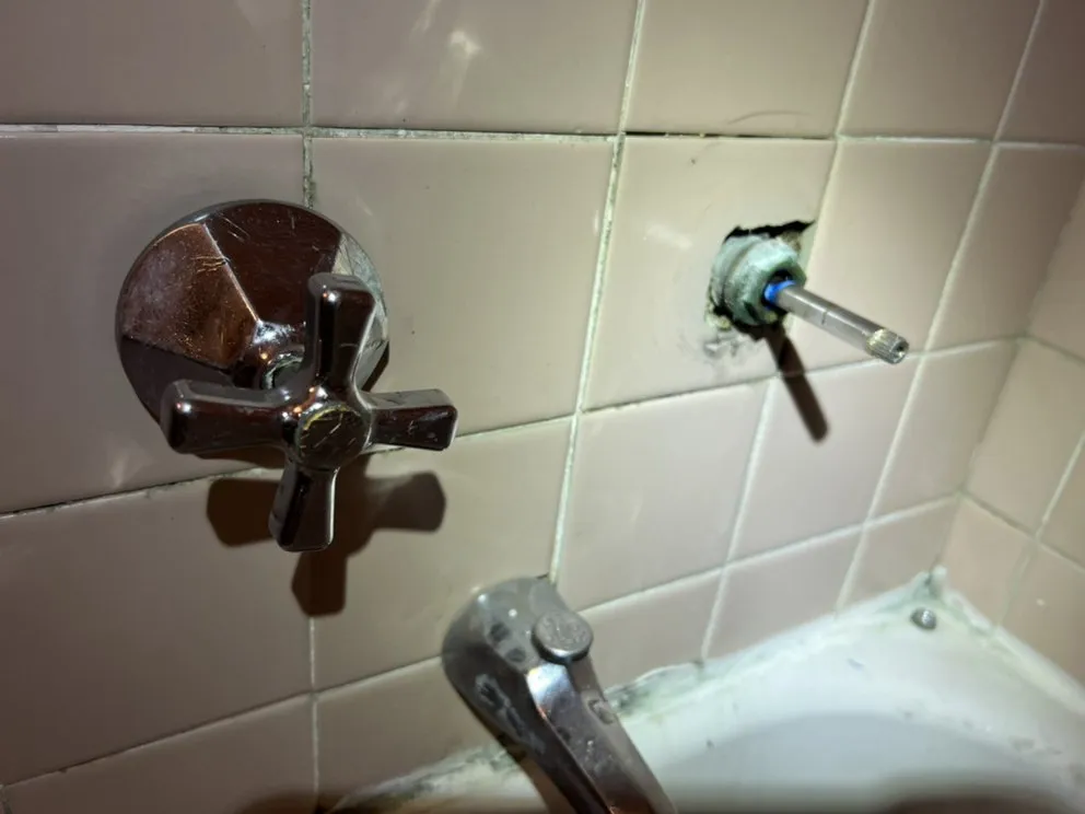 Slide of Mike The Plumber