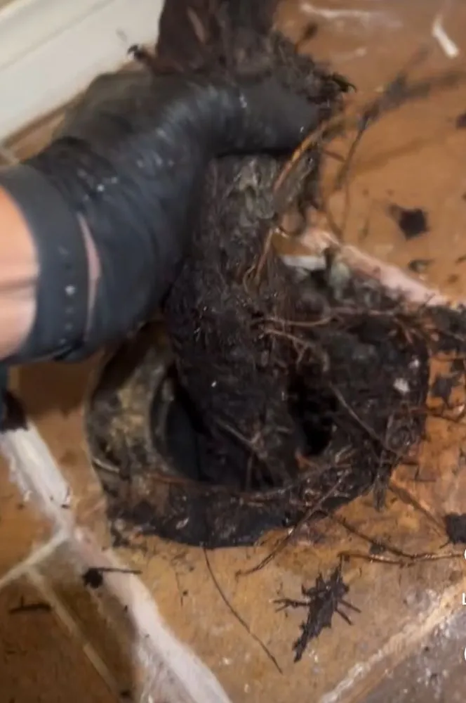 Slide of Mike's 24hr Plumbing and Rooter