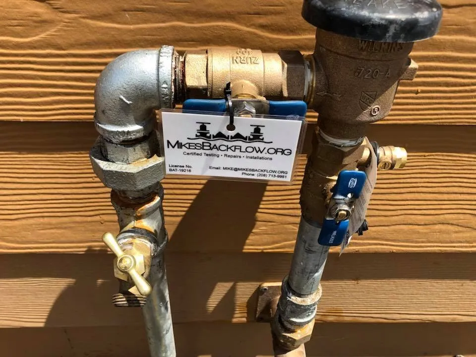 Slide of Mike's Backflow