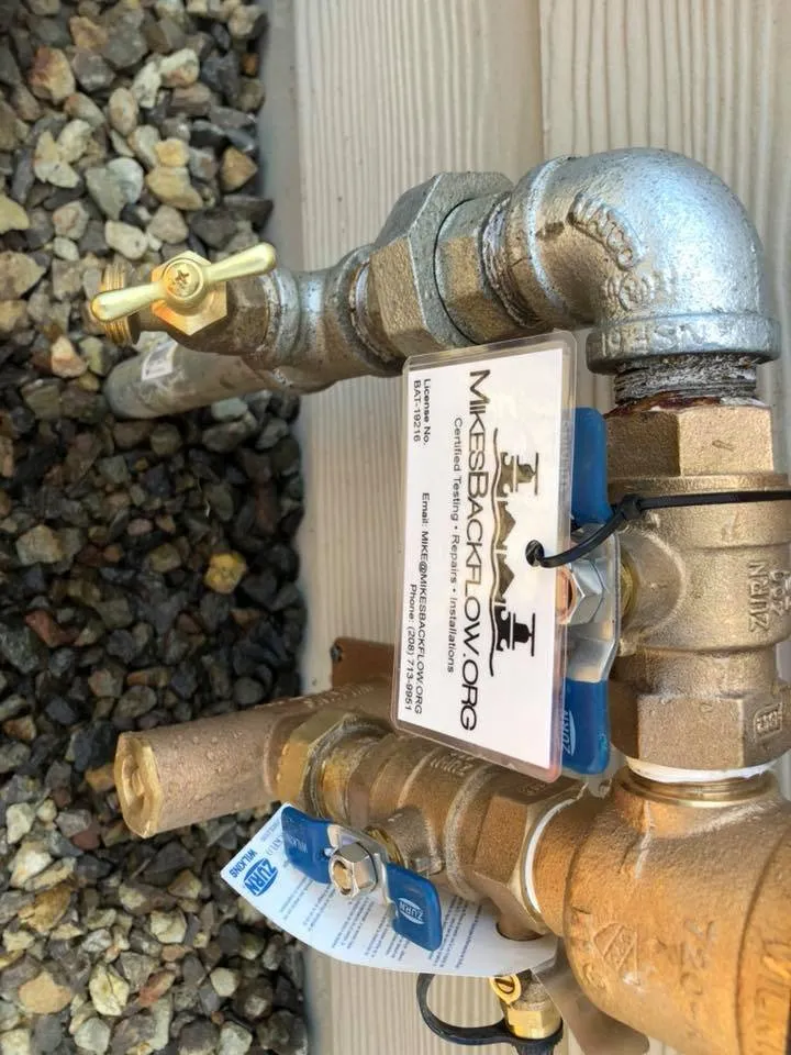 Slide of Mike's Backflow