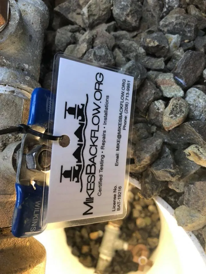 Slide of Mike's Backflow