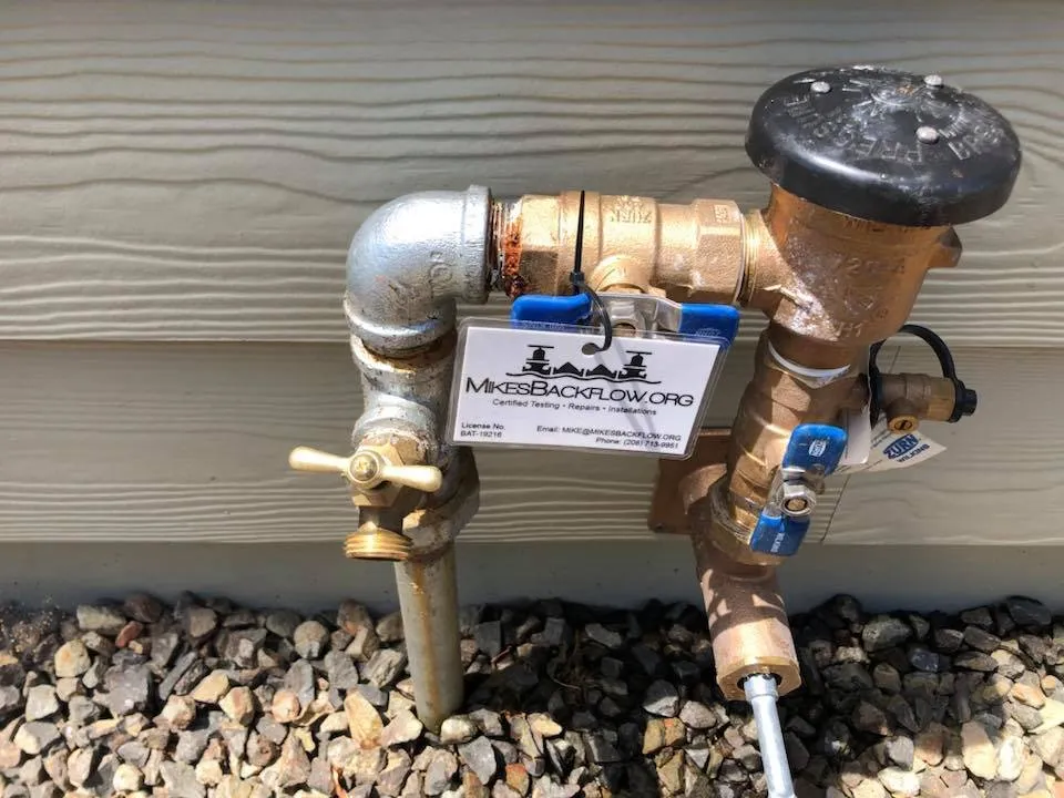 Slide of Mike's Backflow