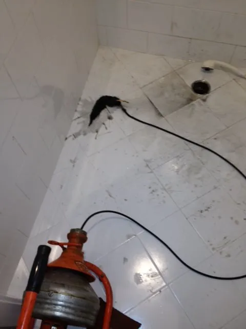 Slide of Mike's Discount Plumbing & Rooter