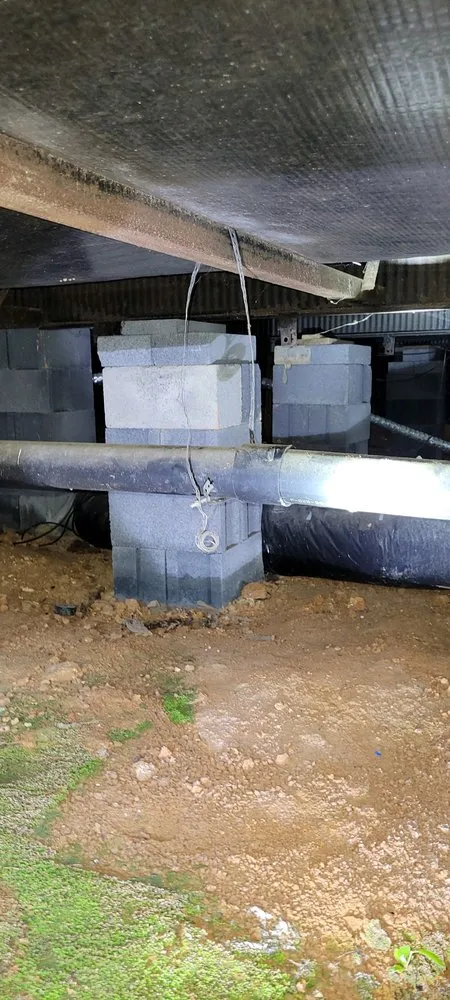 Slide of Mike's Expert Drain & Plumbing