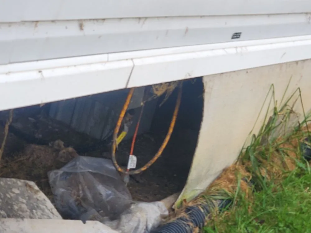 Slide of Mike's Friendly House Doctor Service