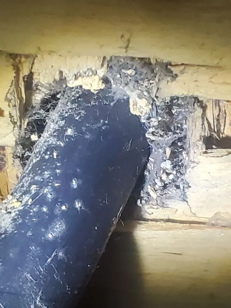 Affordable leak detection in Bluefield, WV by Mike's Friendly House Doctor Service