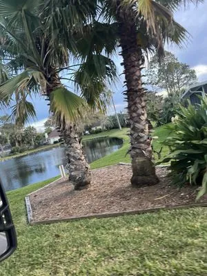 Mike's Landscaping & Maintenance Services