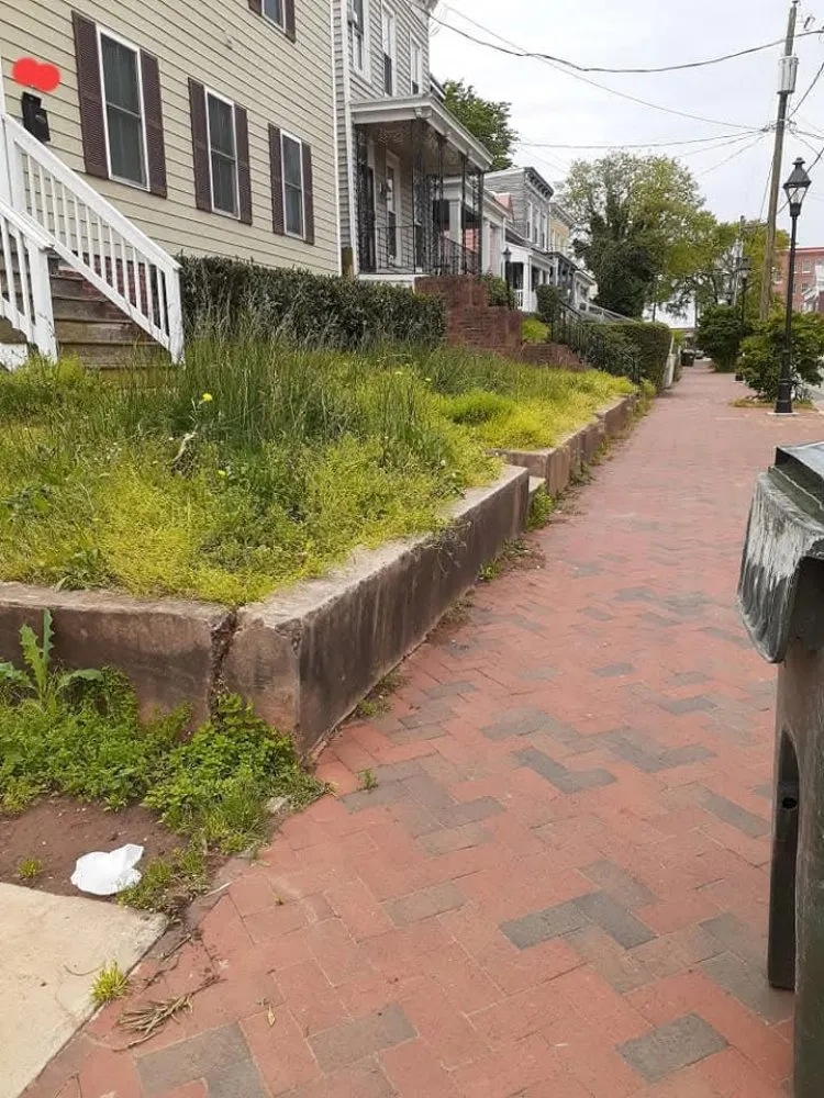 Slide of Mikes Maintenance and More