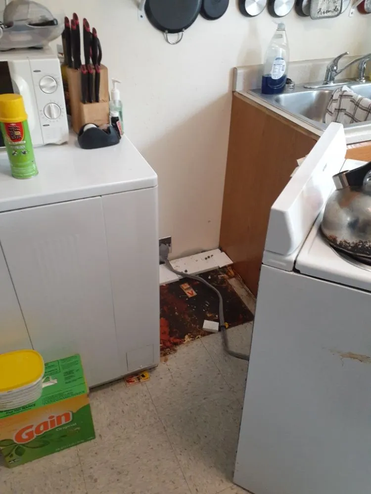 Slide of Mikes Maintenance and More