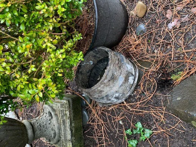 Slide of Mike's Plumbing