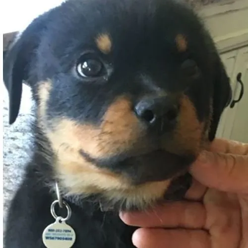 Expert emergency plumbing experts serving Huber Heights, OH - Mike's Sewer and Drain Service