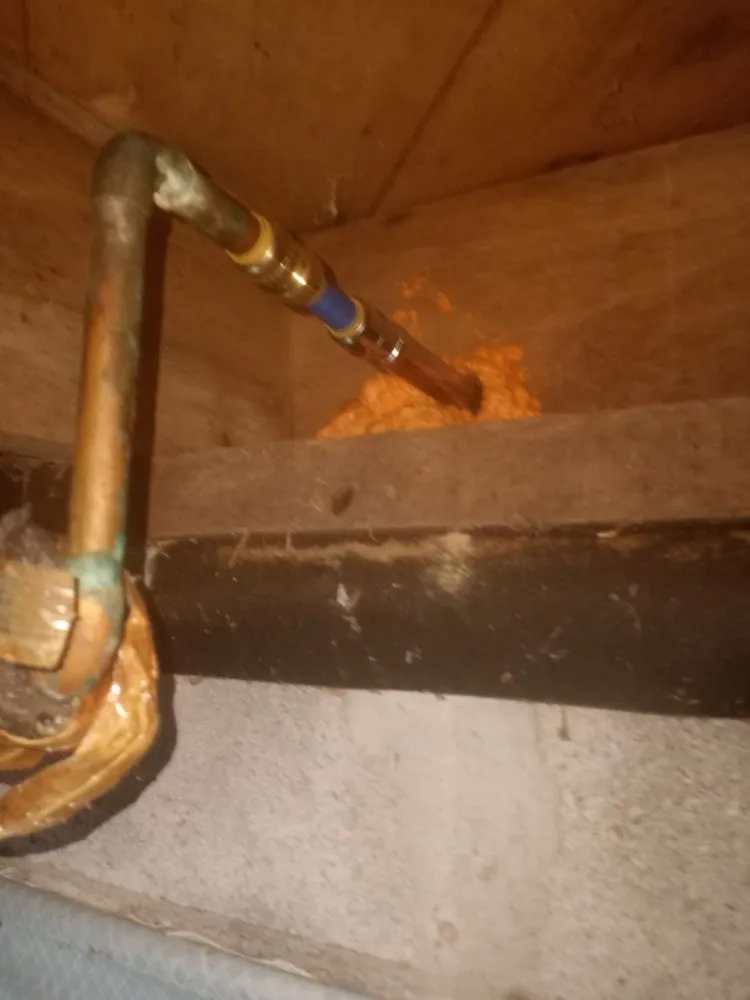 Professional water heater service in Woodlawn, TN by Mild To Extreme Plumbing And Restoration