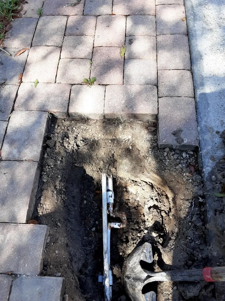 Slide of Millenia works