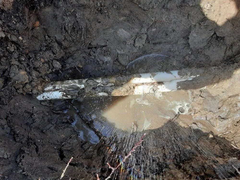 Slide of Millenia works