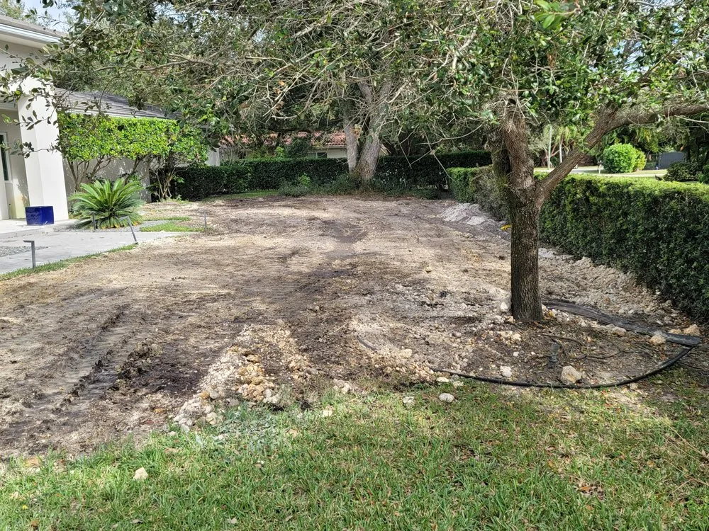 Slide of Mings Contracting Dynasty