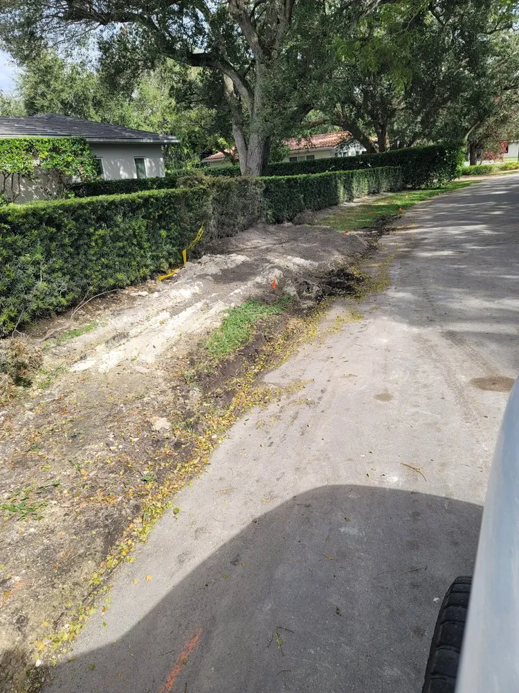 Slide of Mings Contracting Dynasty