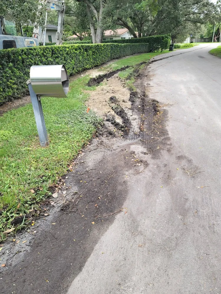 Slide of Mings Contracting Dynasty