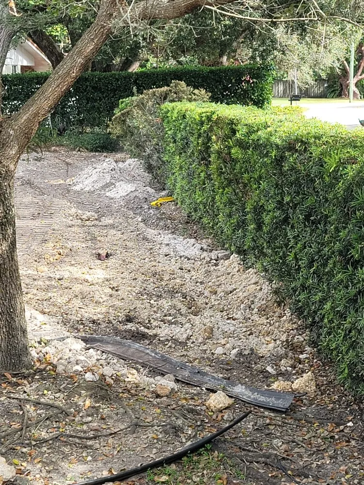 Slide of Mings Contracting Dynasty