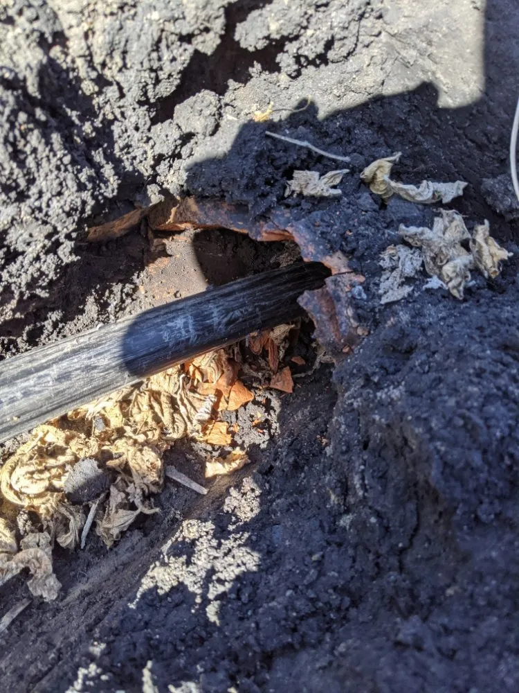 Slide of Minor Enterprise